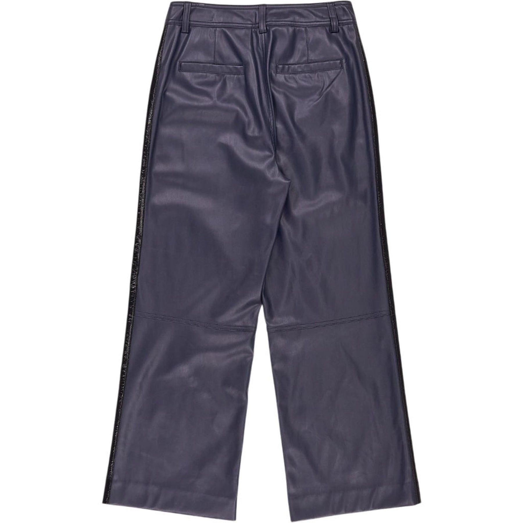 Wyse Blue Faux Leather Trousers