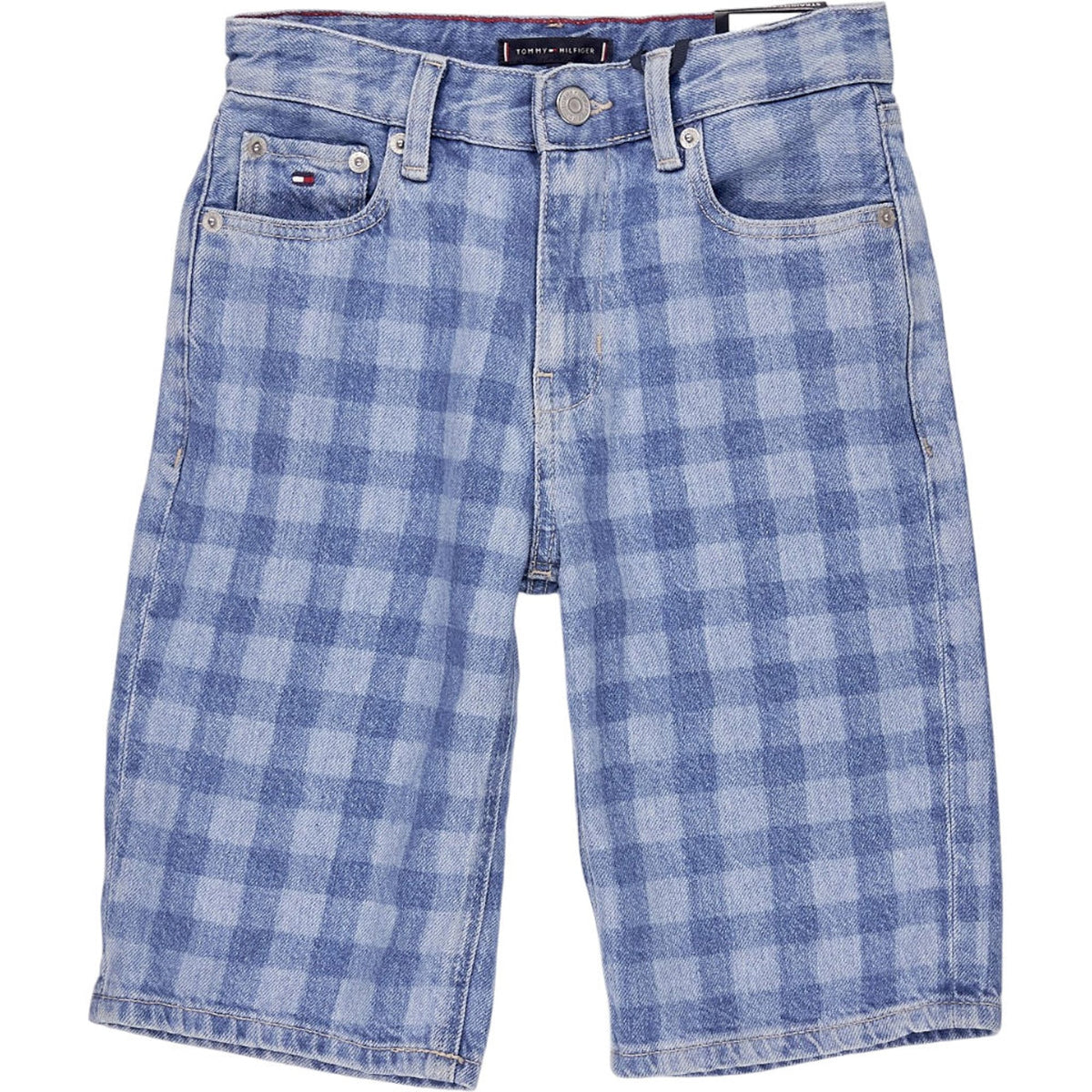 Tommy Hilfiger Blue Check Baggy Shorts