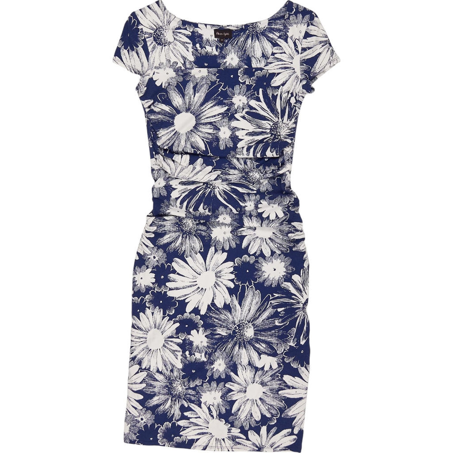 Phase Eight Blue Floral Dress