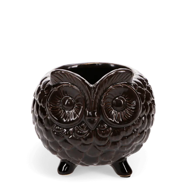Owl plant pot