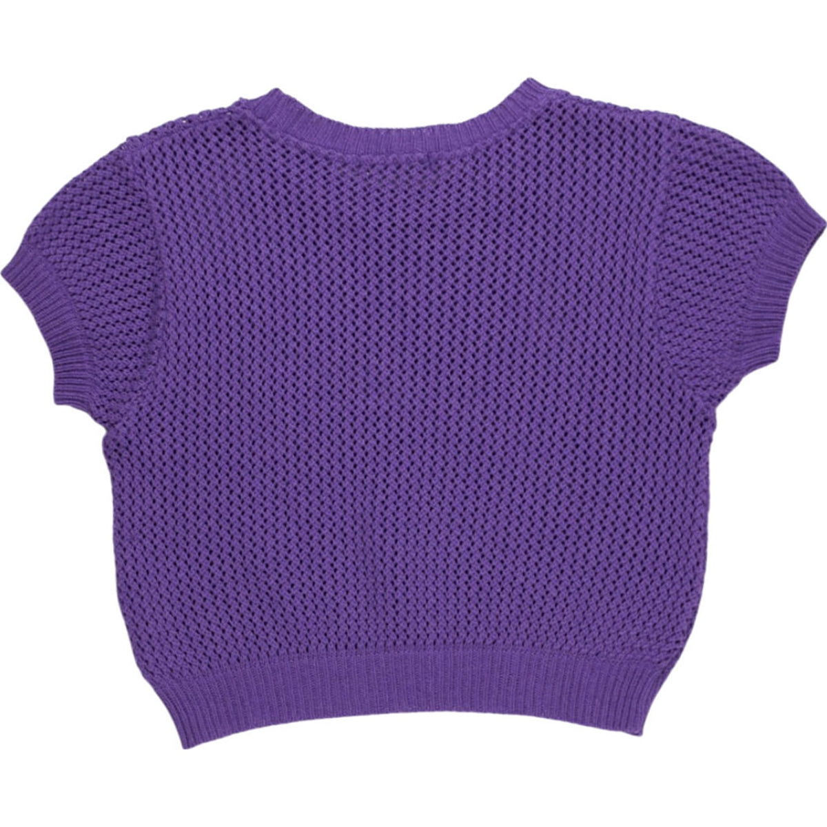 OMNES Purple Knit Crop Top