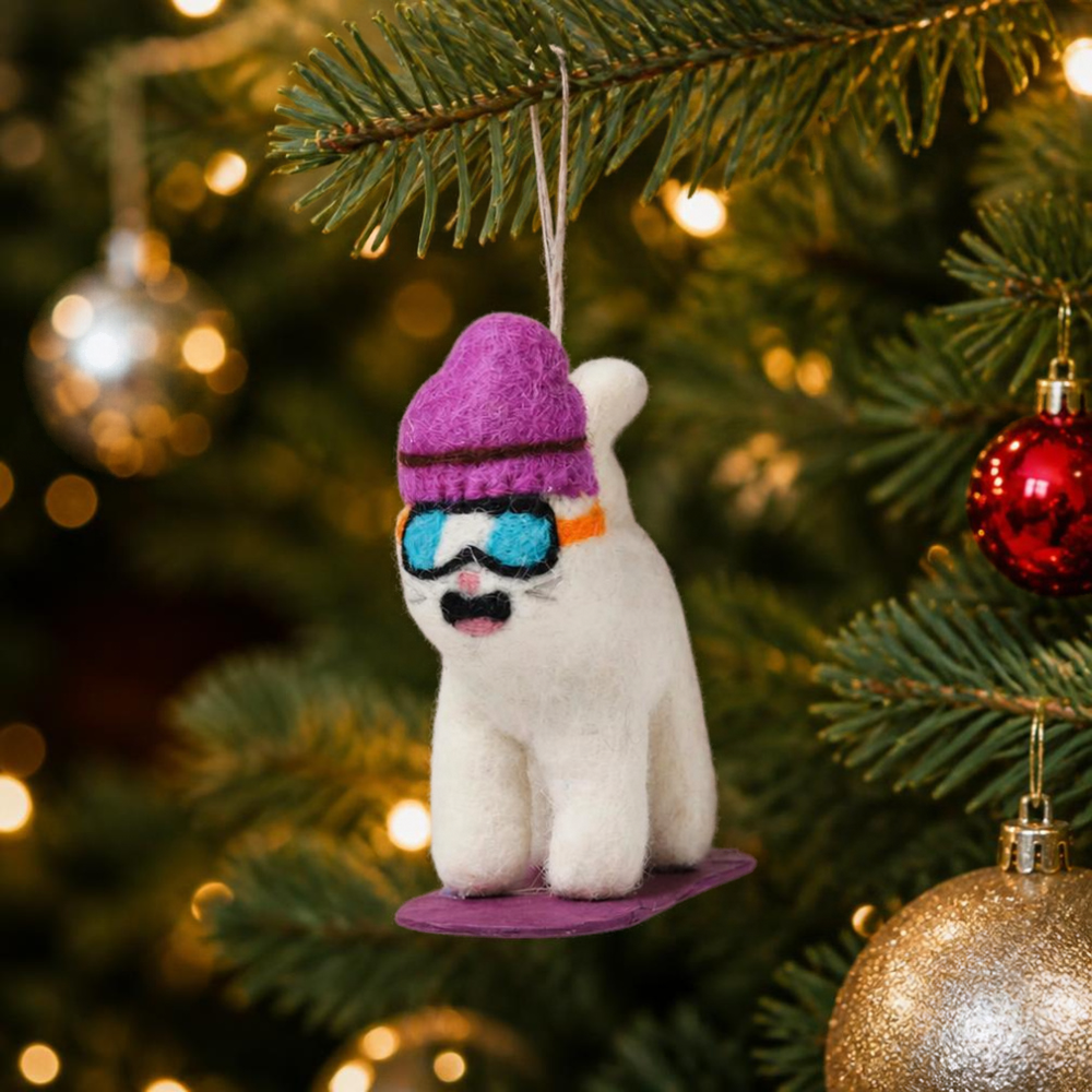 Shaun, Snowboarding Cat Decoration