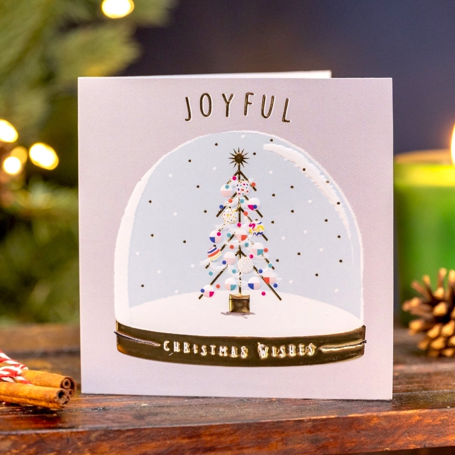 Crisis Snow Globe Card - Pack of 8