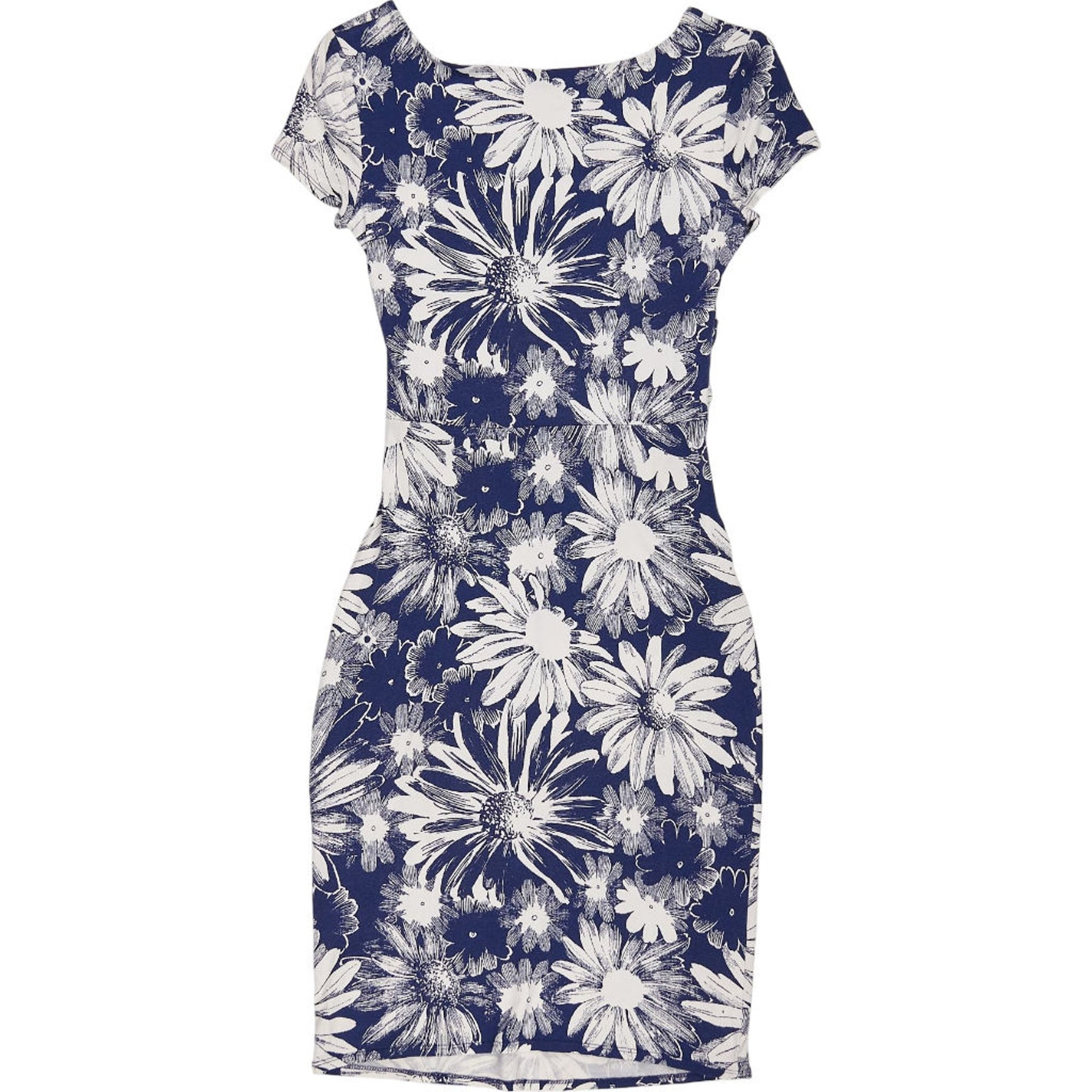 Phase Eight Blue Floral Dress