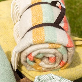 'Spring Stripe' picnic rug with waterproof backing
