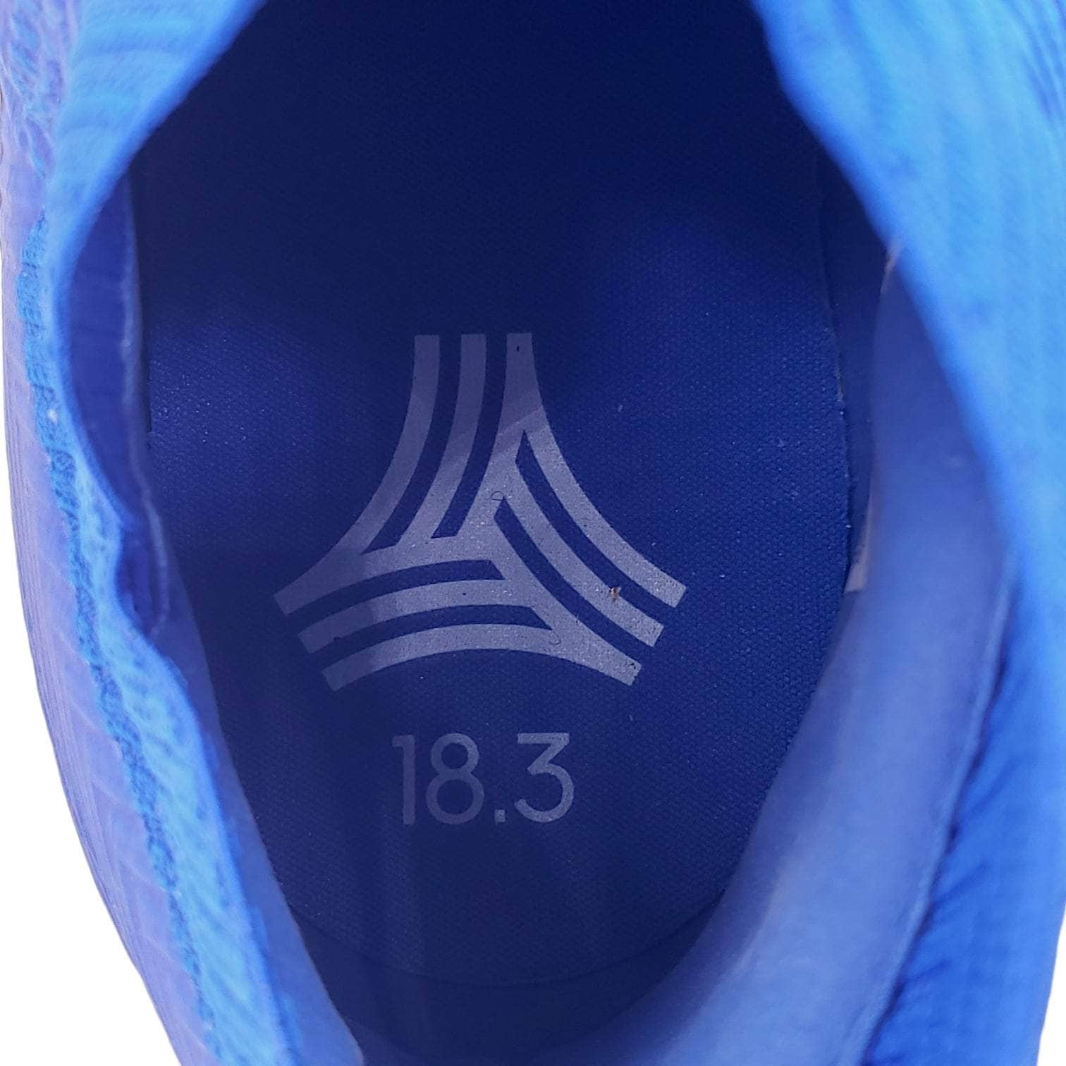 Adidas Nemeziz Blue Turf Football Shoes
