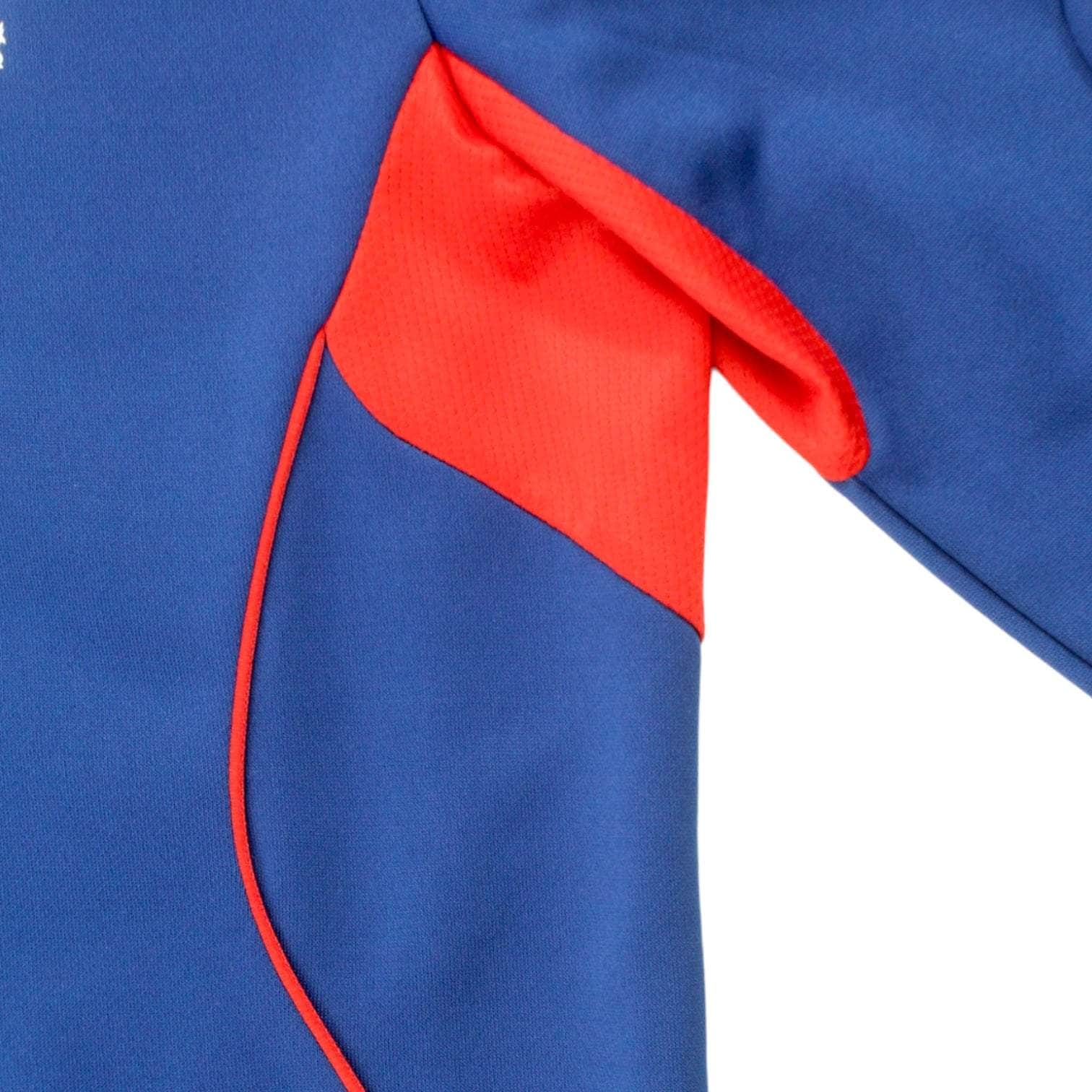 Adidas Royal Blue 3 Lions Sports Top