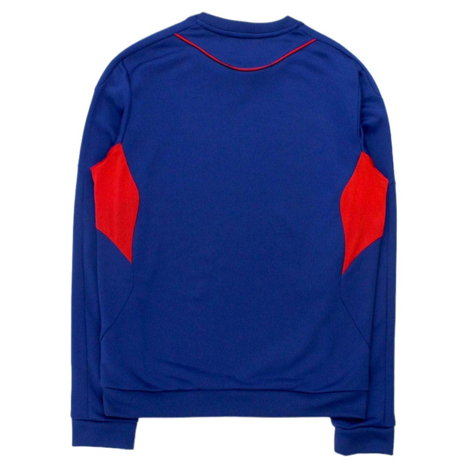 Adidas Royal Blue 3 Lions Sports Top