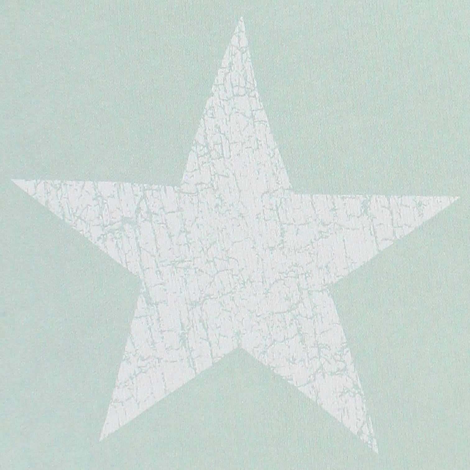 Hush Soft Green Crackle Star Oversized Sweat Top
