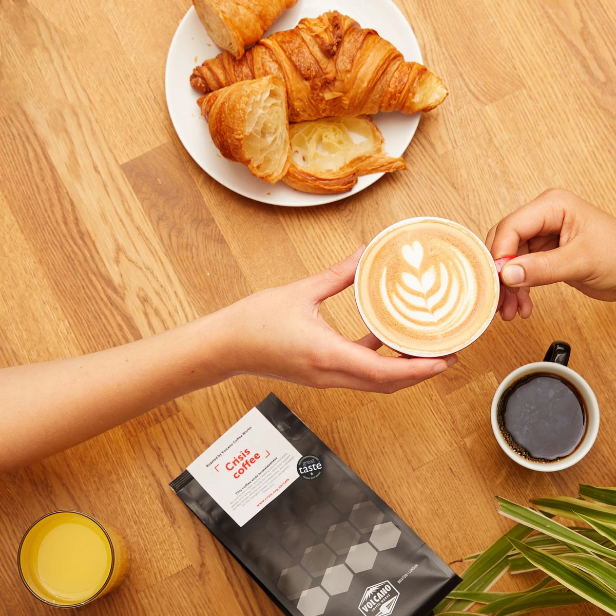 Crisis x Volcano Exclusive Coffee Blend