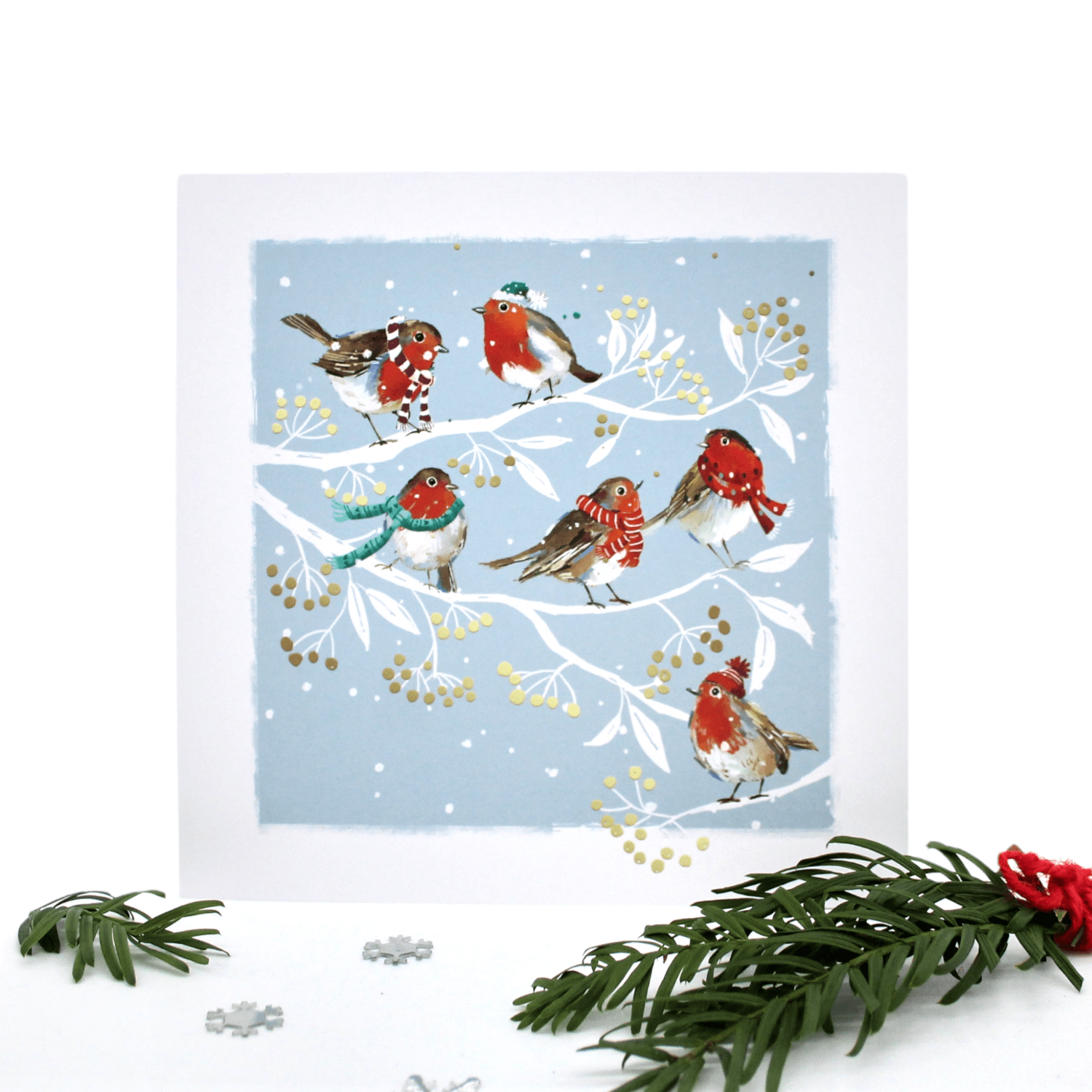 Festive Robins Christmas Cards - Pack of 10