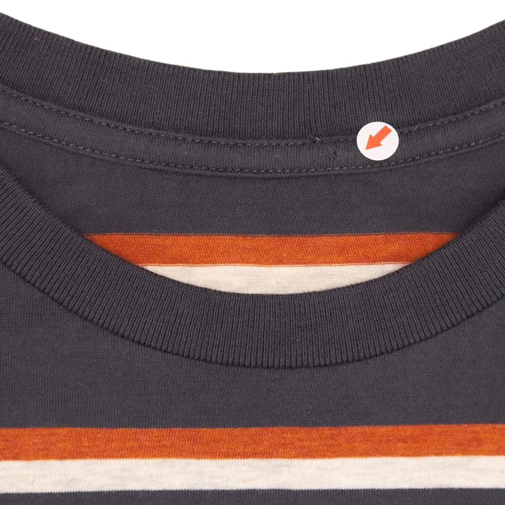 Passenger Ebony Orange Stripe T-Shirt