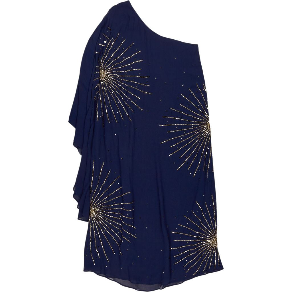 Rixo Navy One-Shoulder Lizan Dress