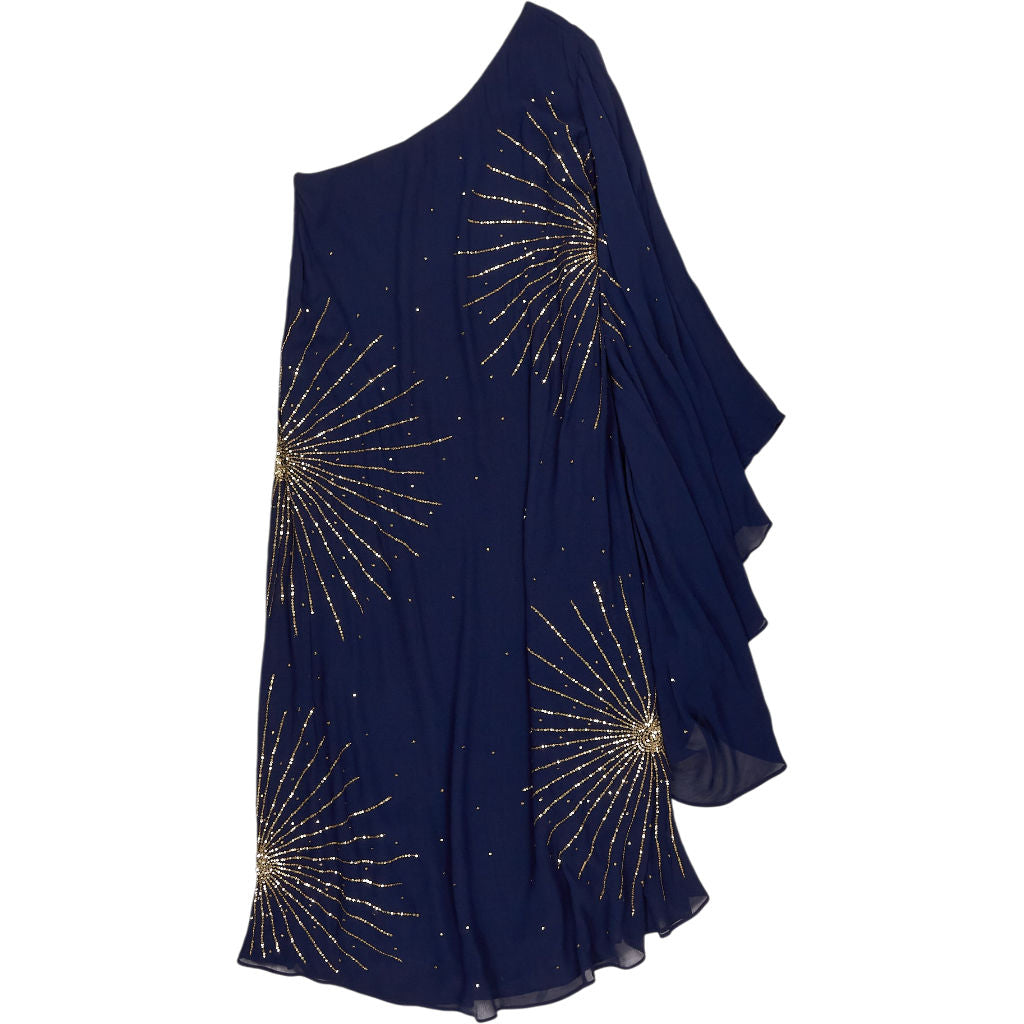 Rixo Navy One-Shoulder Lizan Dress