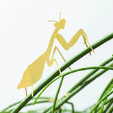 Plant Animals by Another Studio