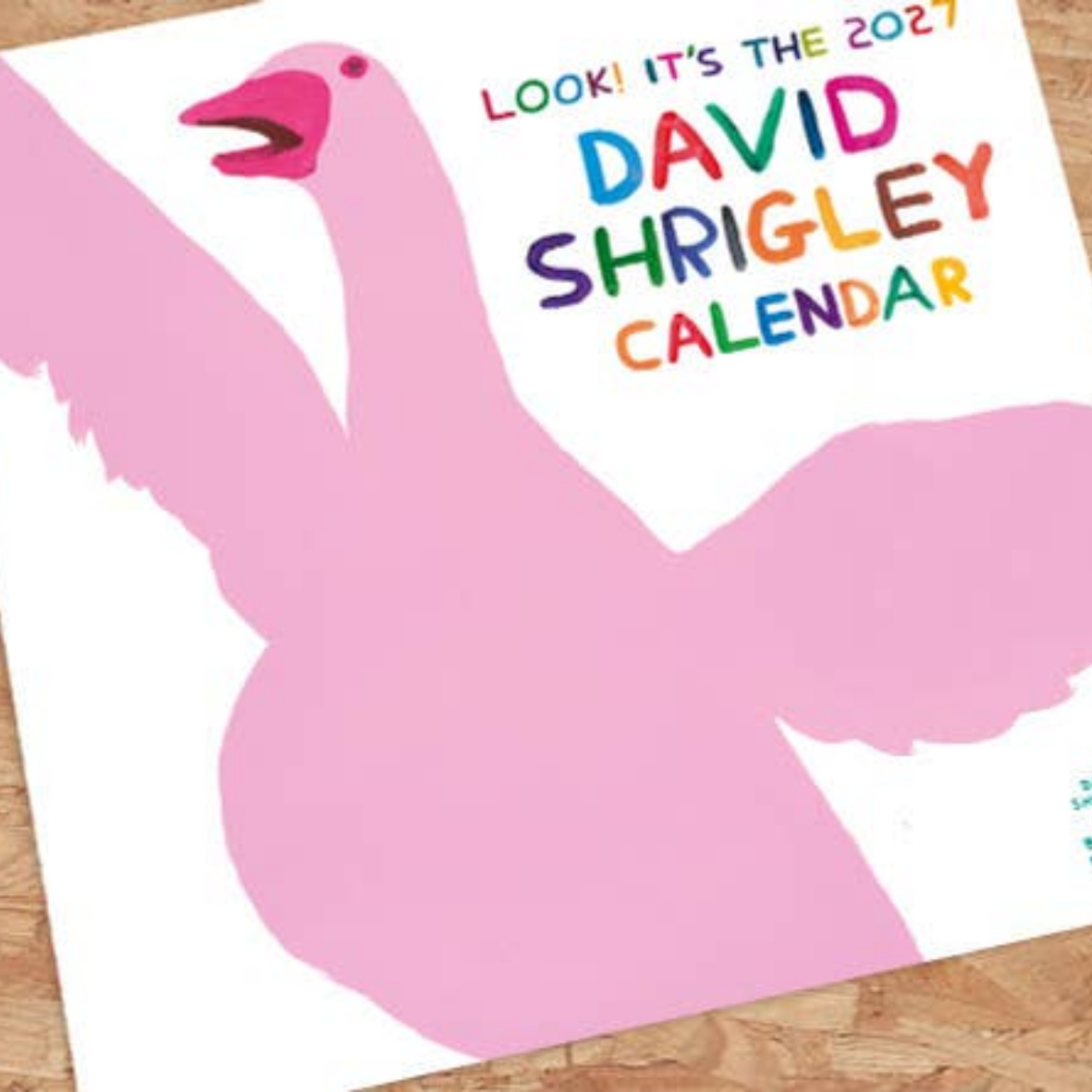 David Shrigley Official and Exclusive 2027 Wall Calendar