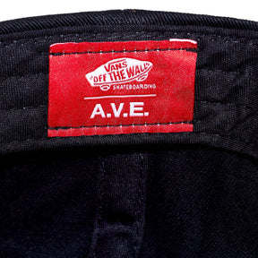 Vans Black Skate AVE Snapback Hat