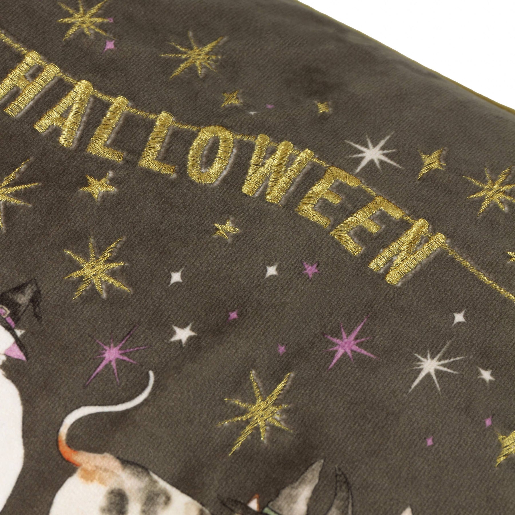 'Halloween Pawty' Embroidered Velvet Cushion
