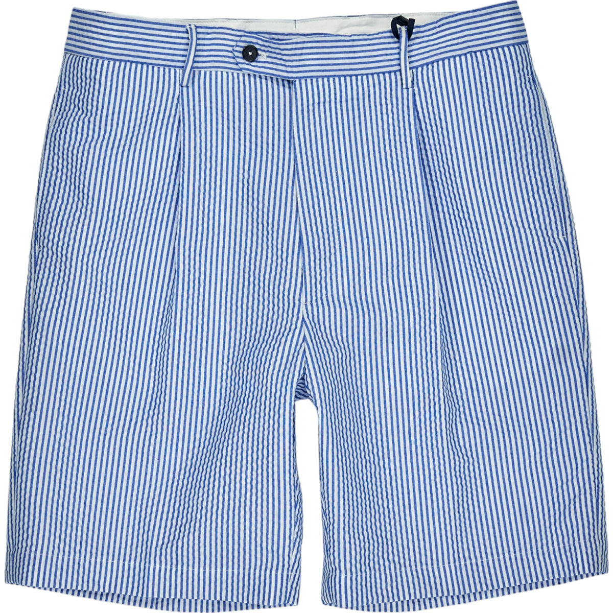 Tommy Hilfiger Blue Striped Shorts
