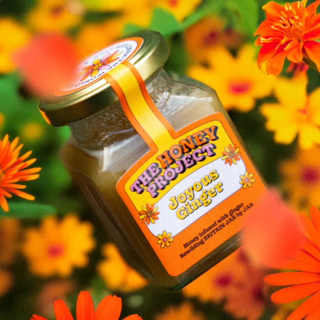 The Honey Project British Honey (4 flavours)