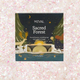 Scented Christmas Tealights - Sacred Forest