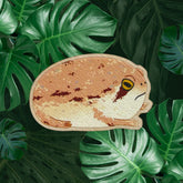 Rain Frog Wooden Pin