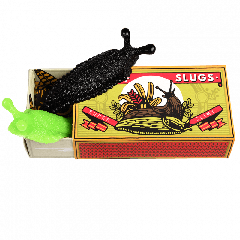 Box of two slimy slugs