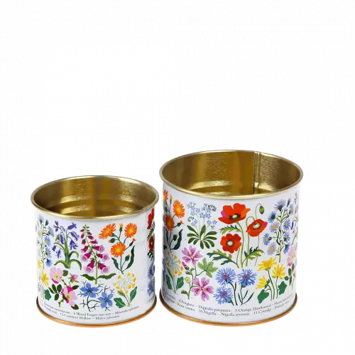 Mini storage Tin Set of 2