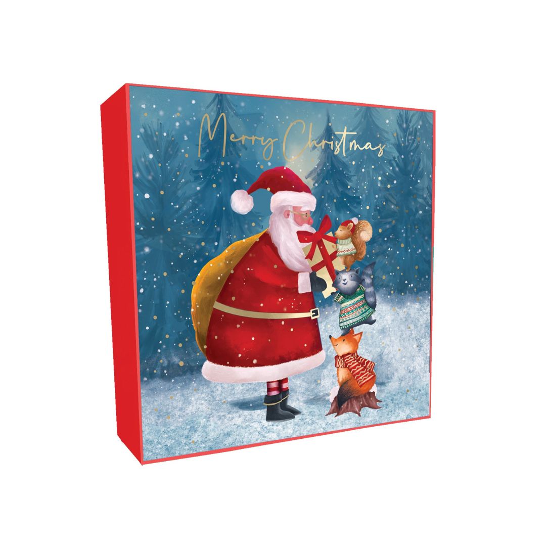 Santa With Animals Christmas cards - pack of 8