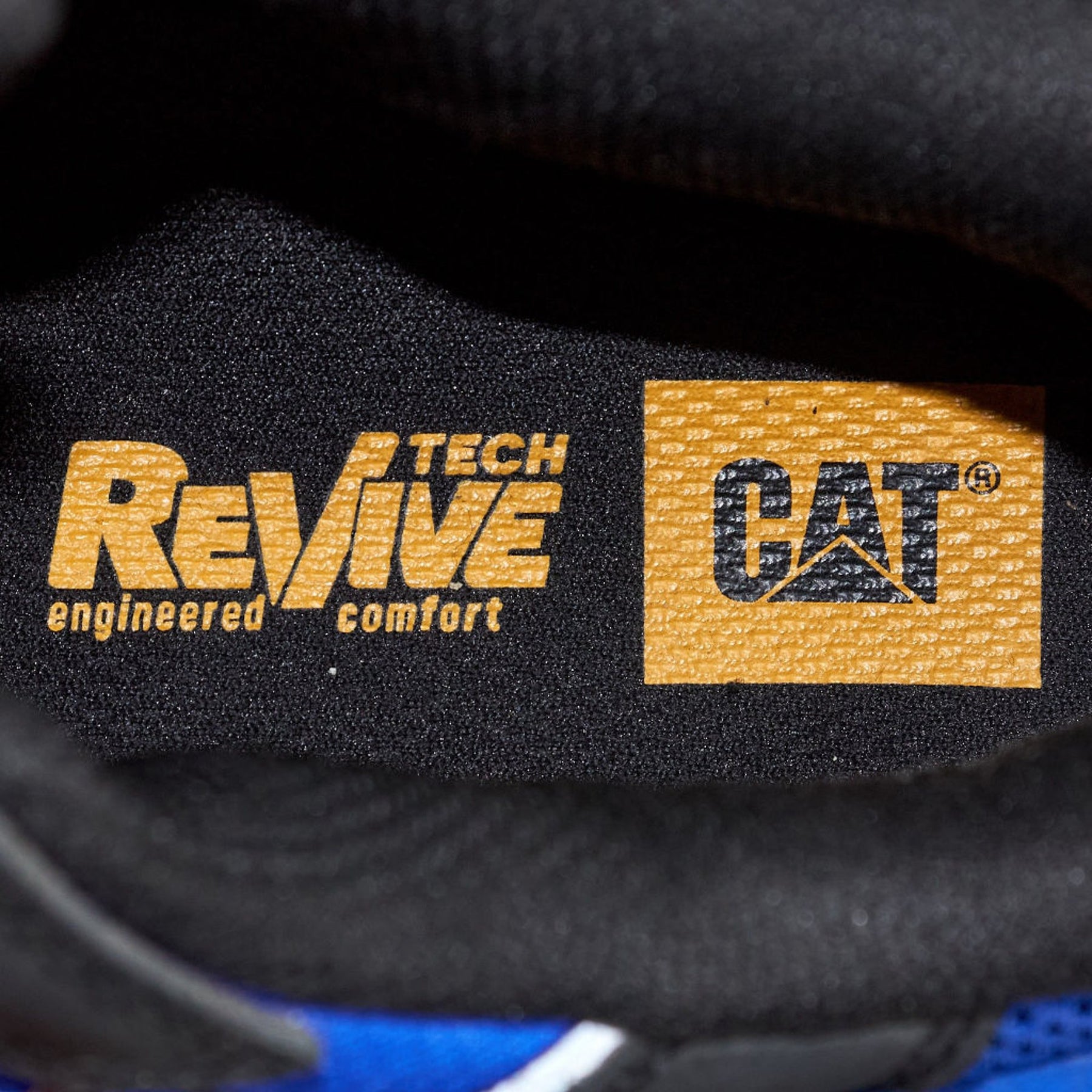 CAT Black/Blue Intruder Max Trainers