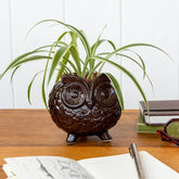 Owl plant pot
