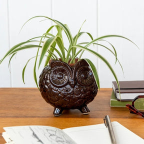 Owl plant pot