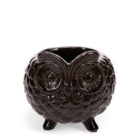 Owl plant pot