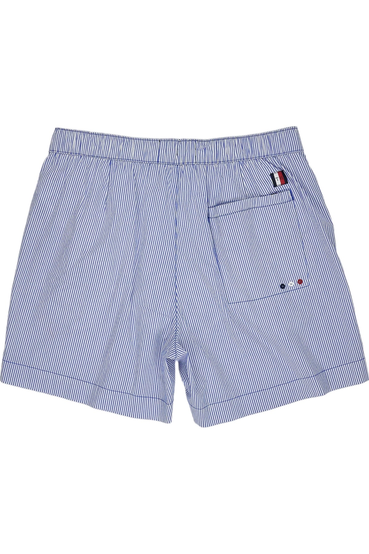 Tommy Hilfiger Blue Ithaca Stripe Swim Shorts