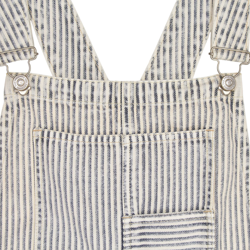 Free People Blue Striped Overalls