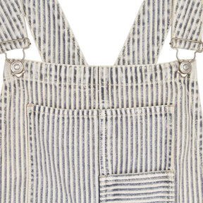 Free People Blue Striped Overalls