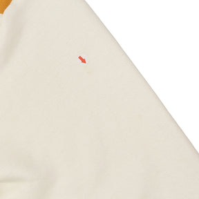 Passenger Multicolour Graphic Hoodie