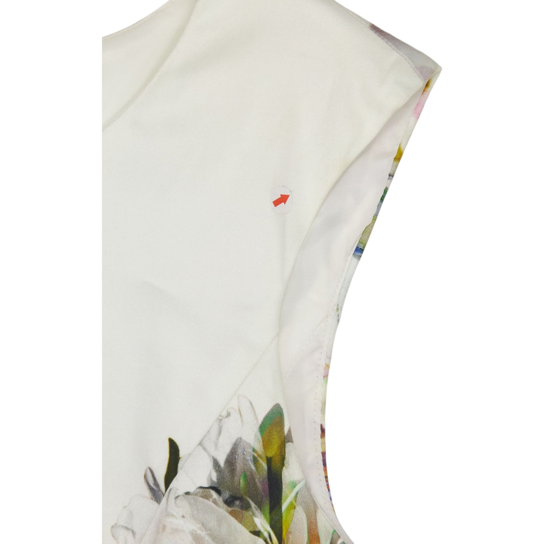 Phase Eight Multicoloured Floral Dress