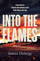 Into The Flames By James Delargy