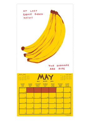 David Shrigley Official and Exclusive 2027 Wall Calendar