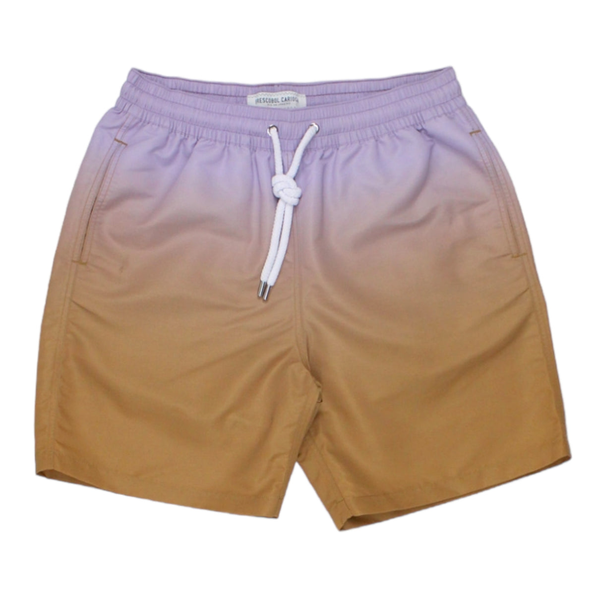Frescobol Carioca Lilac Ombre Board Shorts