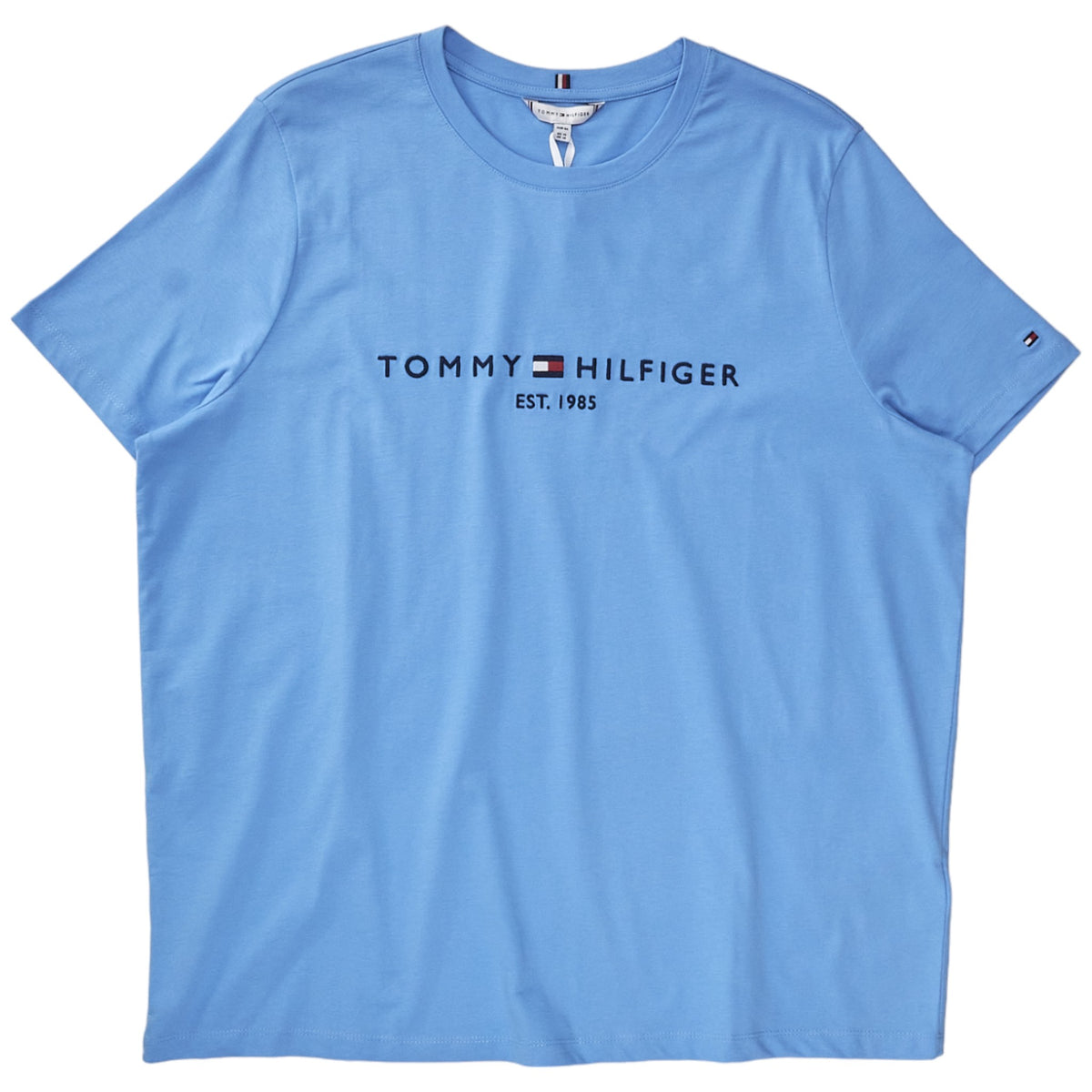 Tommy Hilfiger Blue Regular Tee