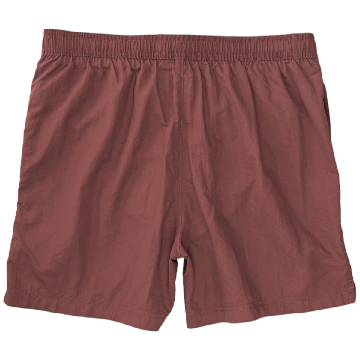 Calvin Klein Raisin Swim Shorts