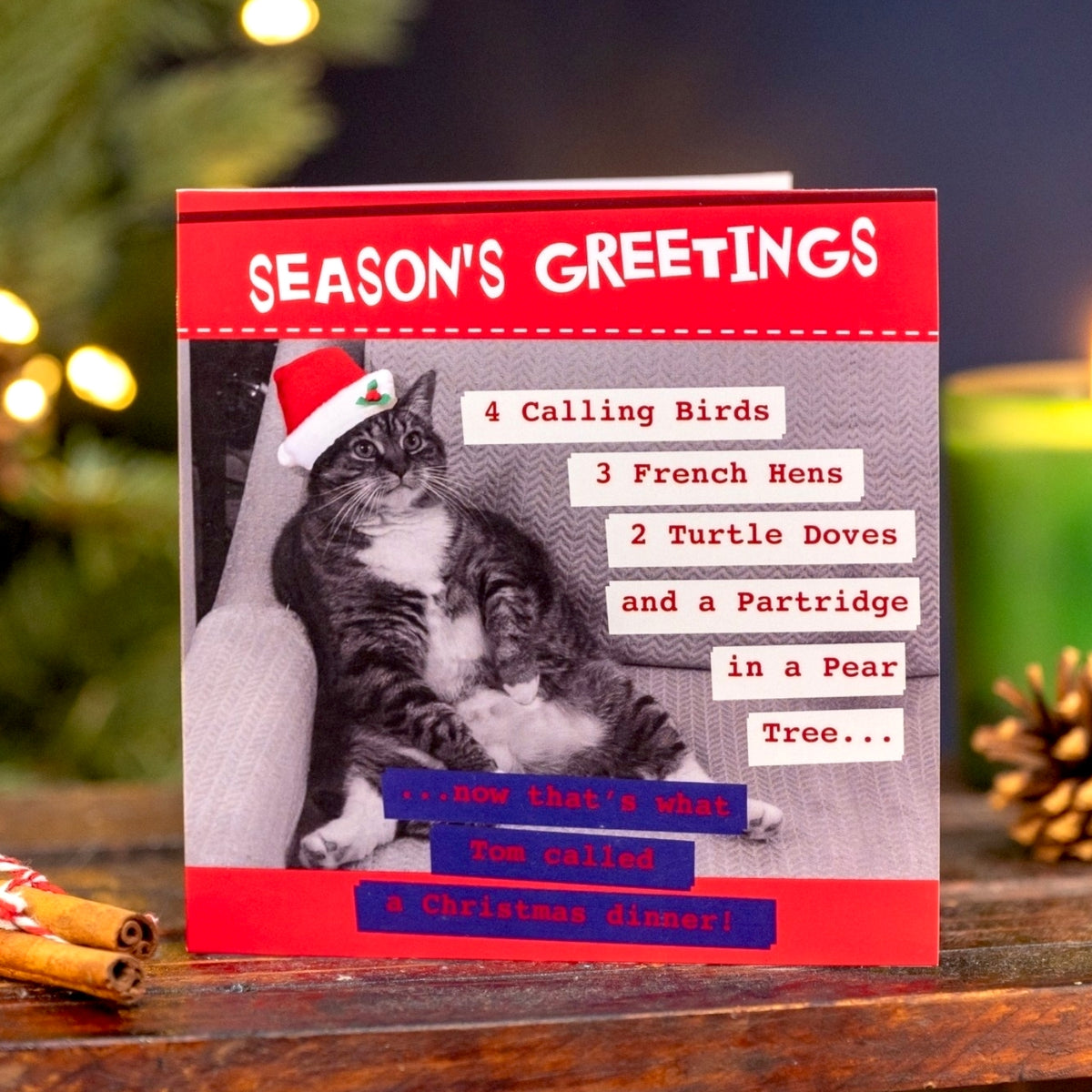 Crisis Season's Greetings Cat Card - Pack of 8