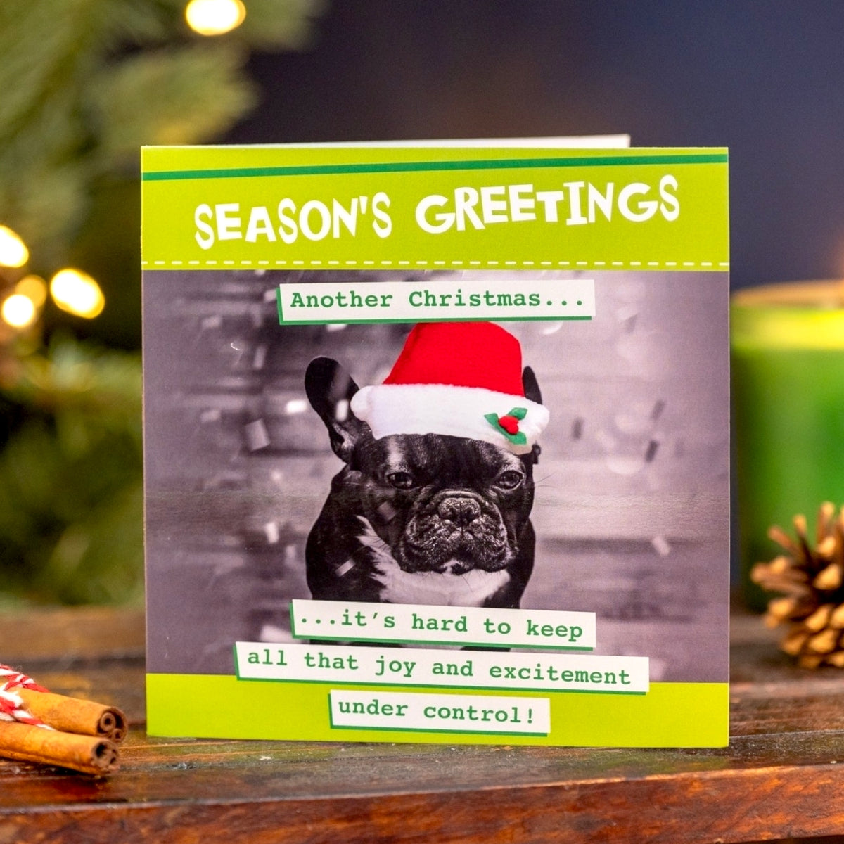 Crisis Season's Greetings Dog Card - Pack of 8