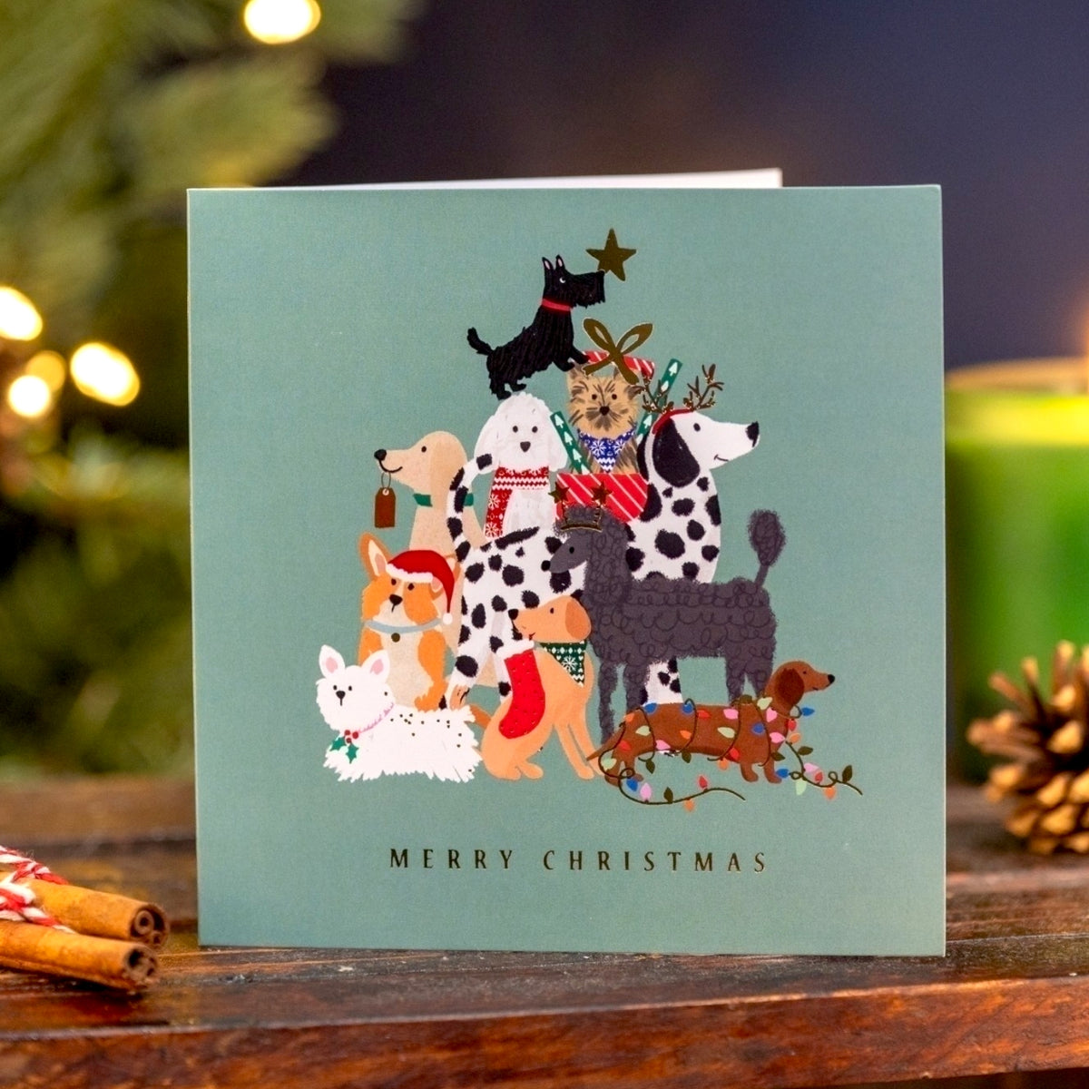 Crisis Christmas Dogs Card - Pack of 8