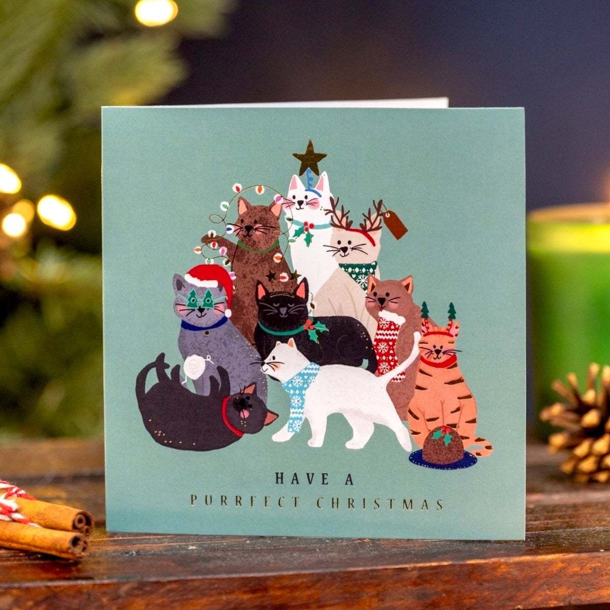 Crisis Have A Purrfect Christmas Cards - Pack of 8