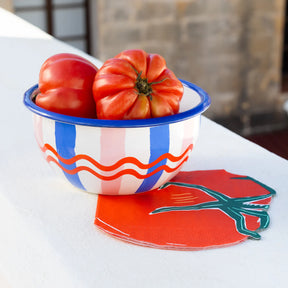 Enamel Bowl - Stripe 16cm