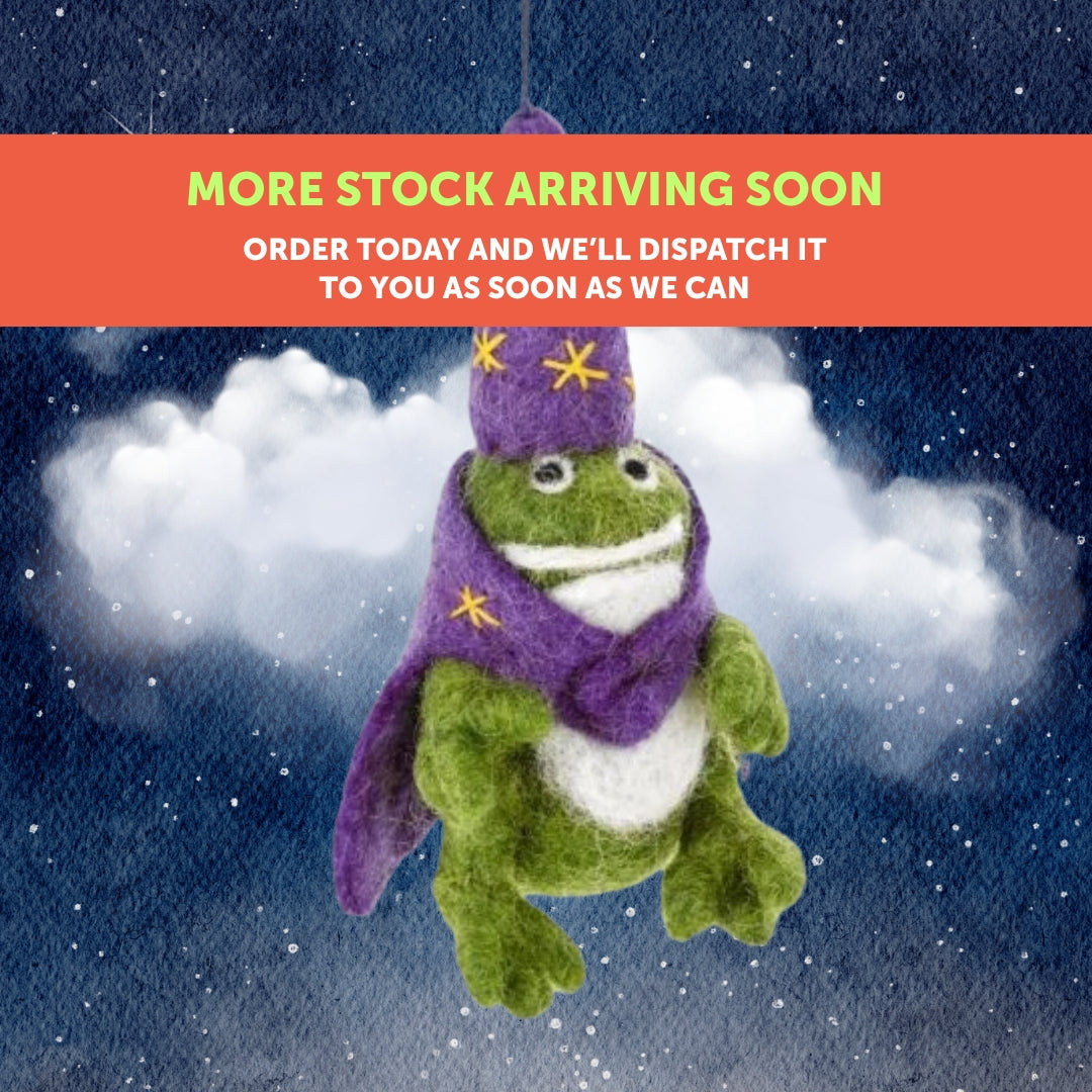 Handmade Felt 'Wizard Frog' Hanging Halloween Decoration