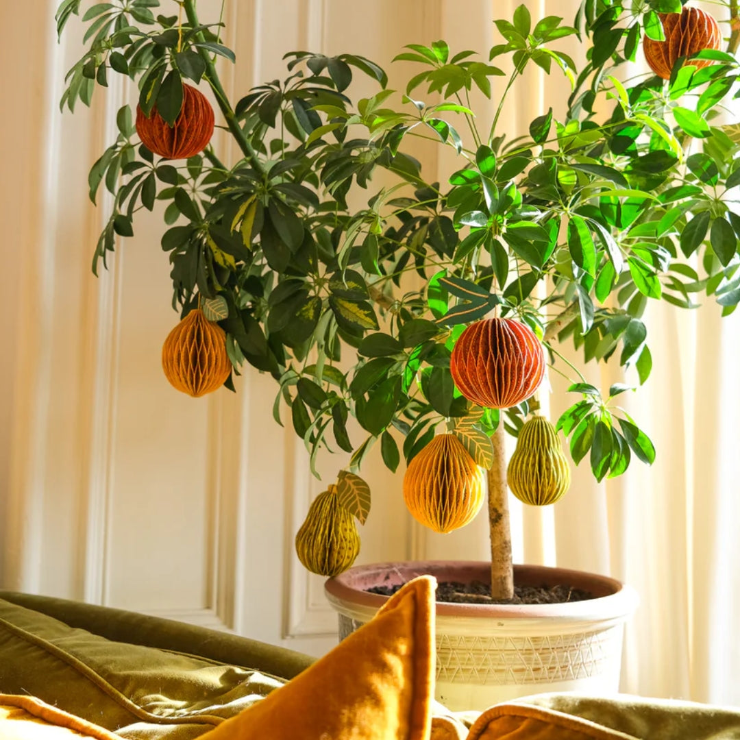 Honeycomb Paper Fruit Decoration- 5 designs